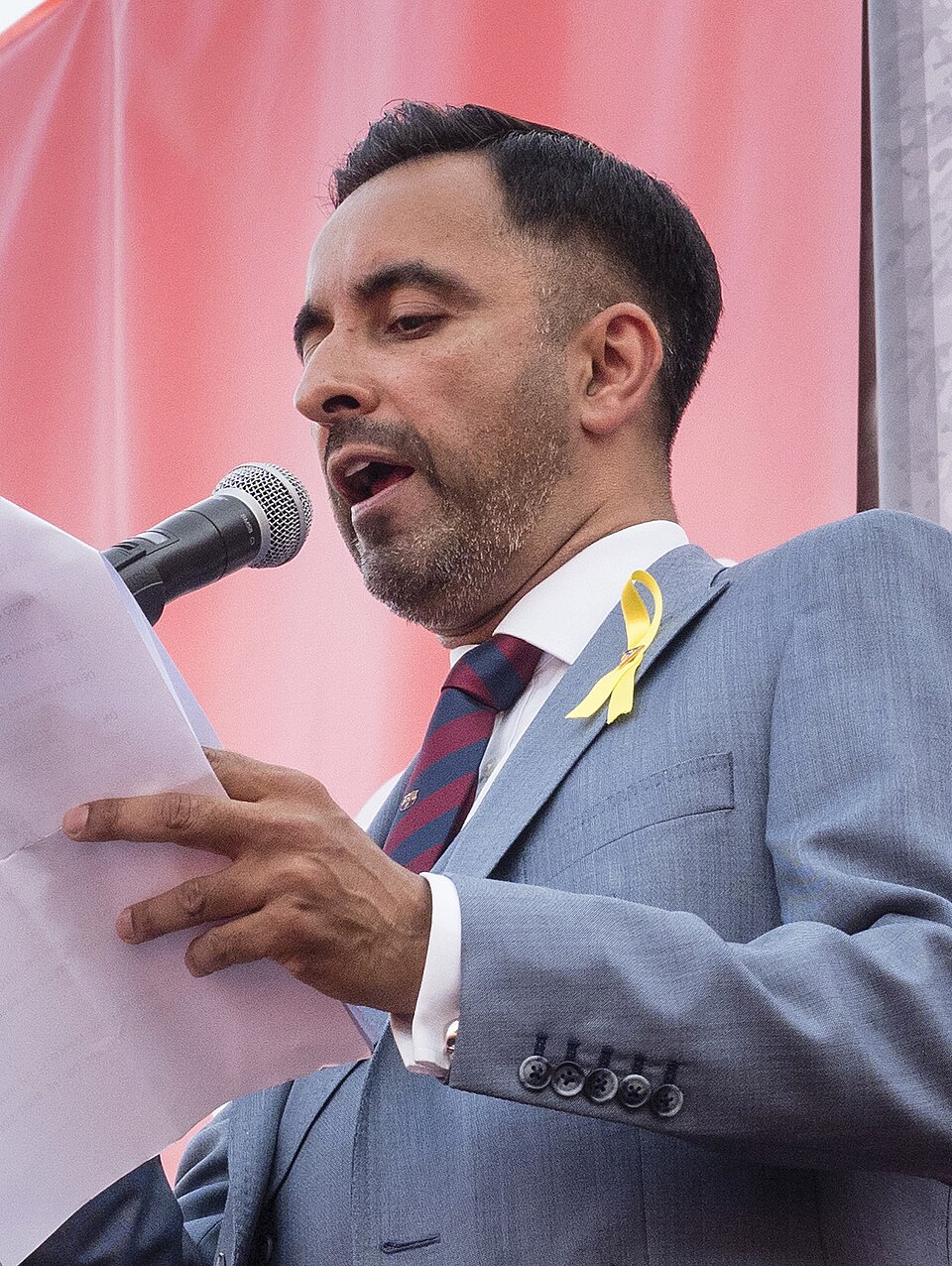 Aamer Anwar
