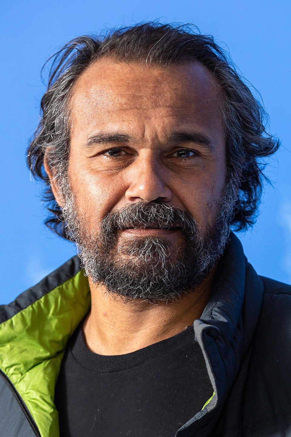 Aaron Pedersen
