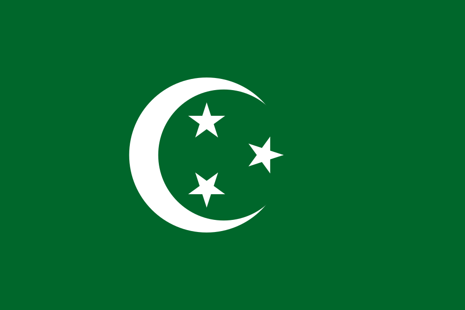 Abdel Hamid Mohamed Salah El-Din