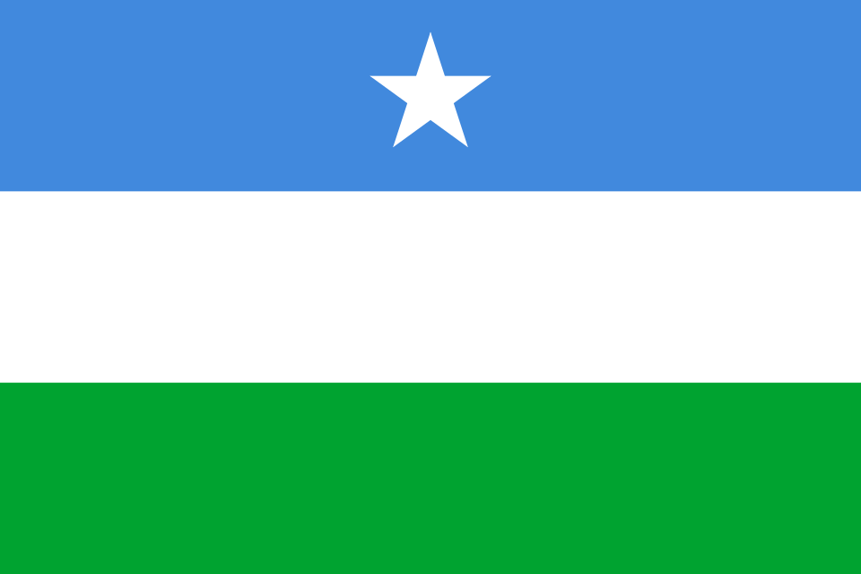 Abdiweli Ali