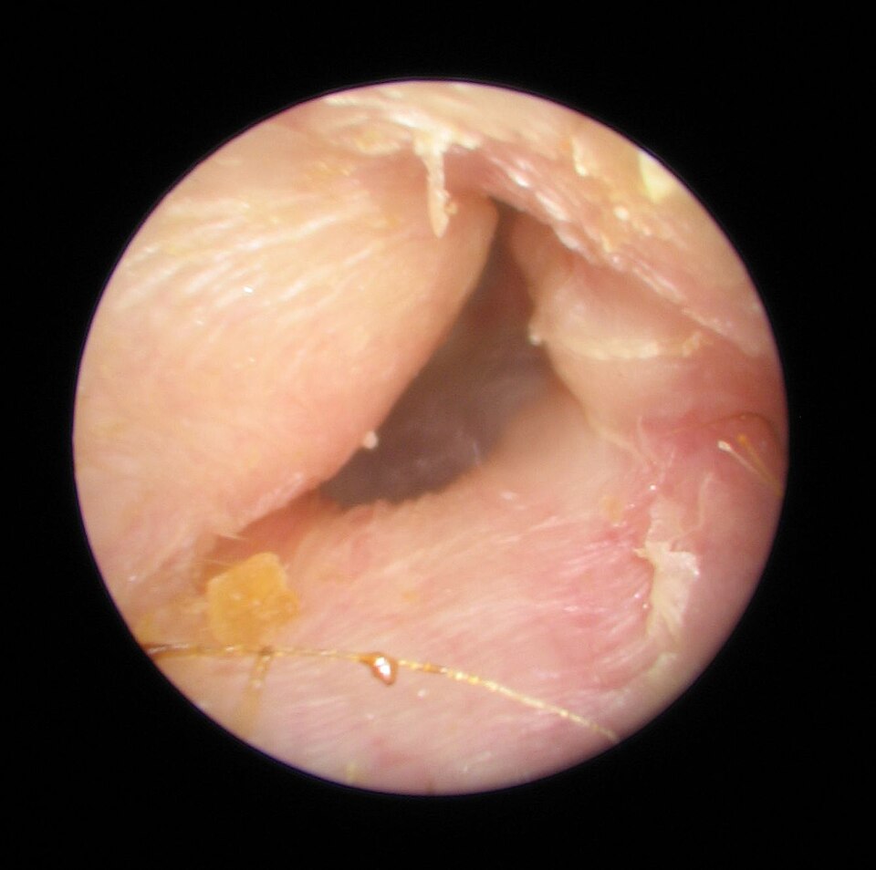 Ada Cornea Luca