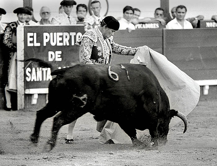 Adolfo David Romero Benítez