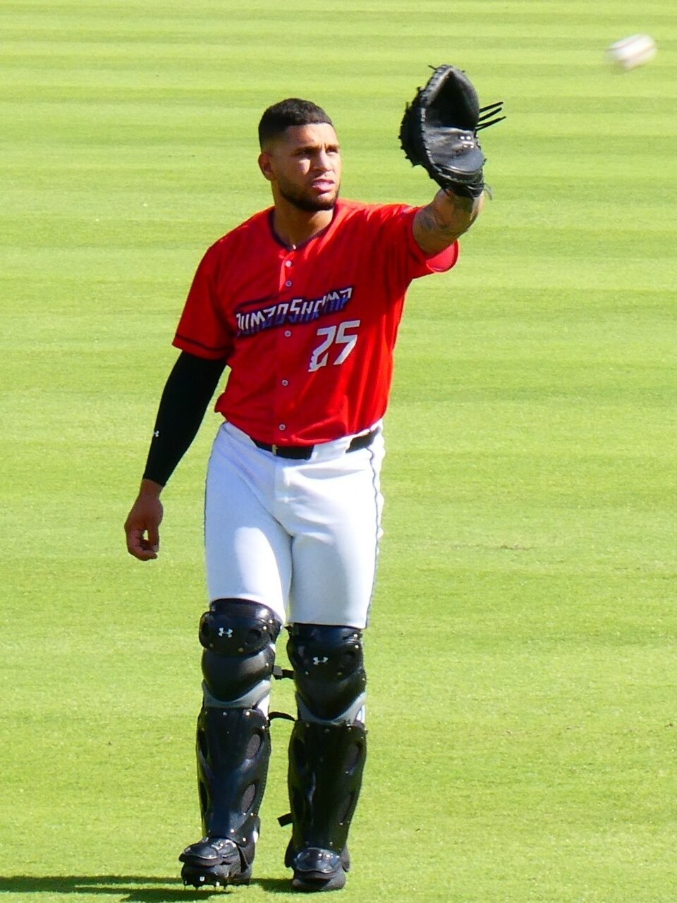 Agustín Ramírez