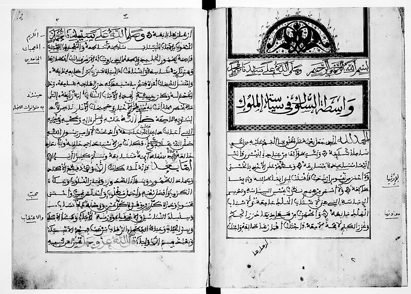 Ahmed Mahmoud Ould Tayeb