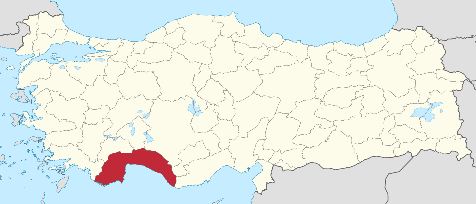 Ahmet Rasim Çağın