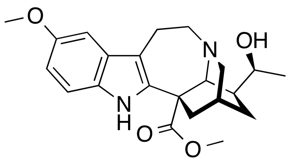 Akoth Deng