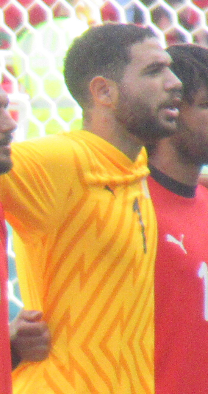 Alaa Hamza