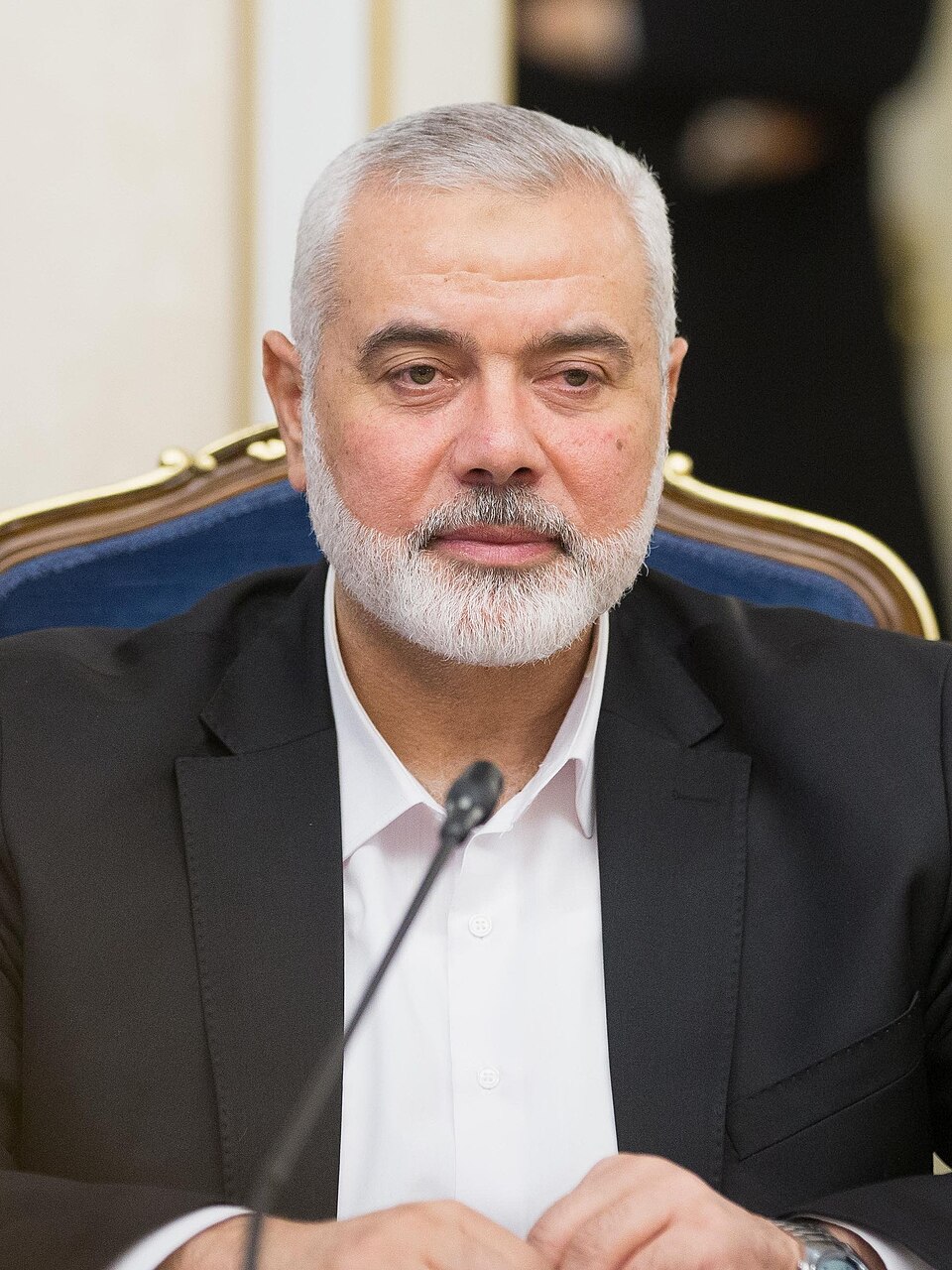 Alaa Haniya