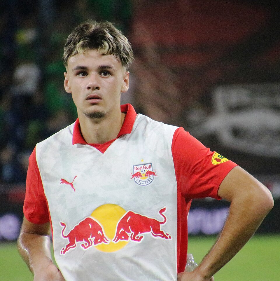 Alajbegovic