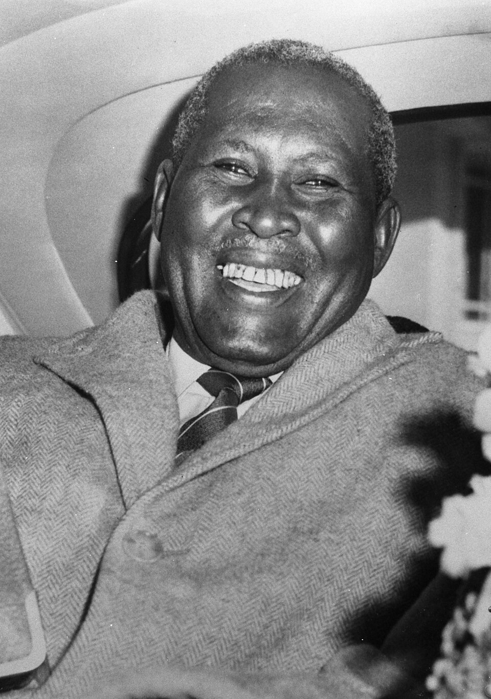 Albert John Mvumbi Luthuli