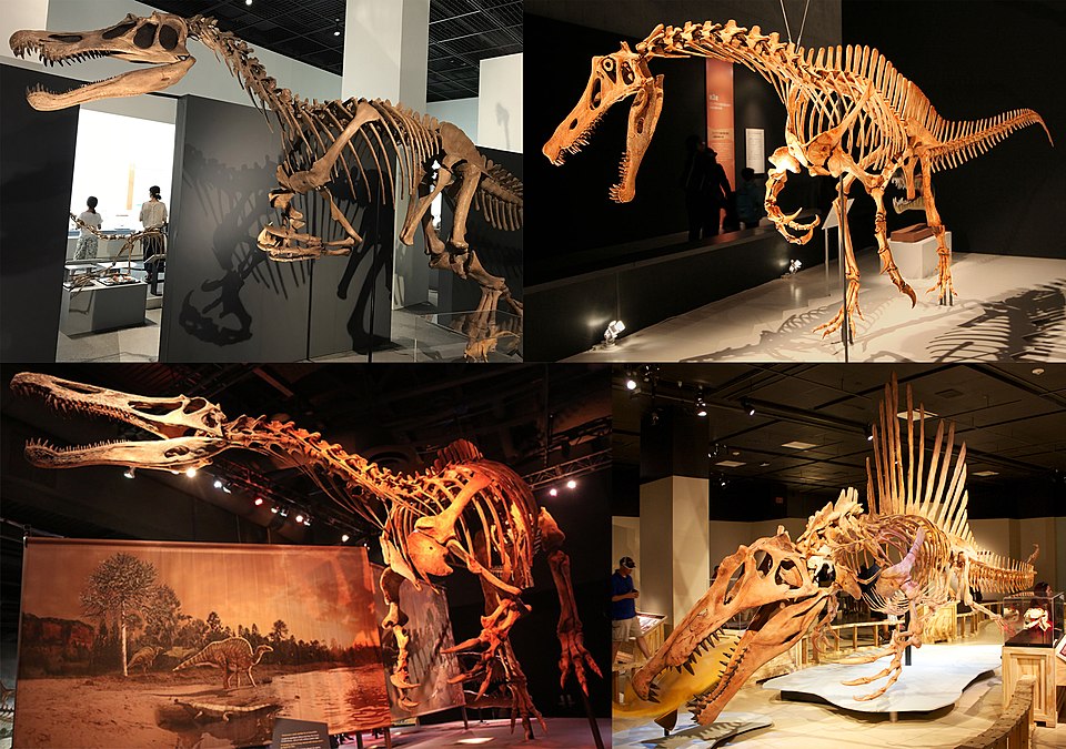 Alberto Tejada Conroy