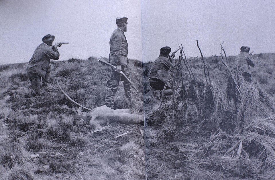 Alejandro Bosco Flores de la Lastra