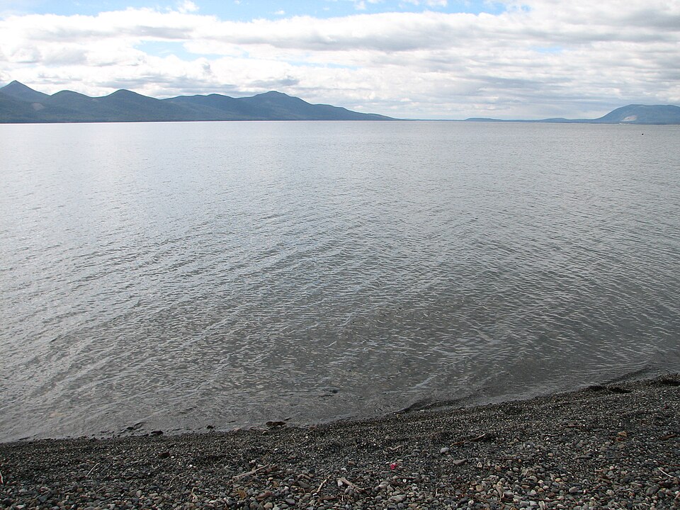 Alejandro Horacio Lago