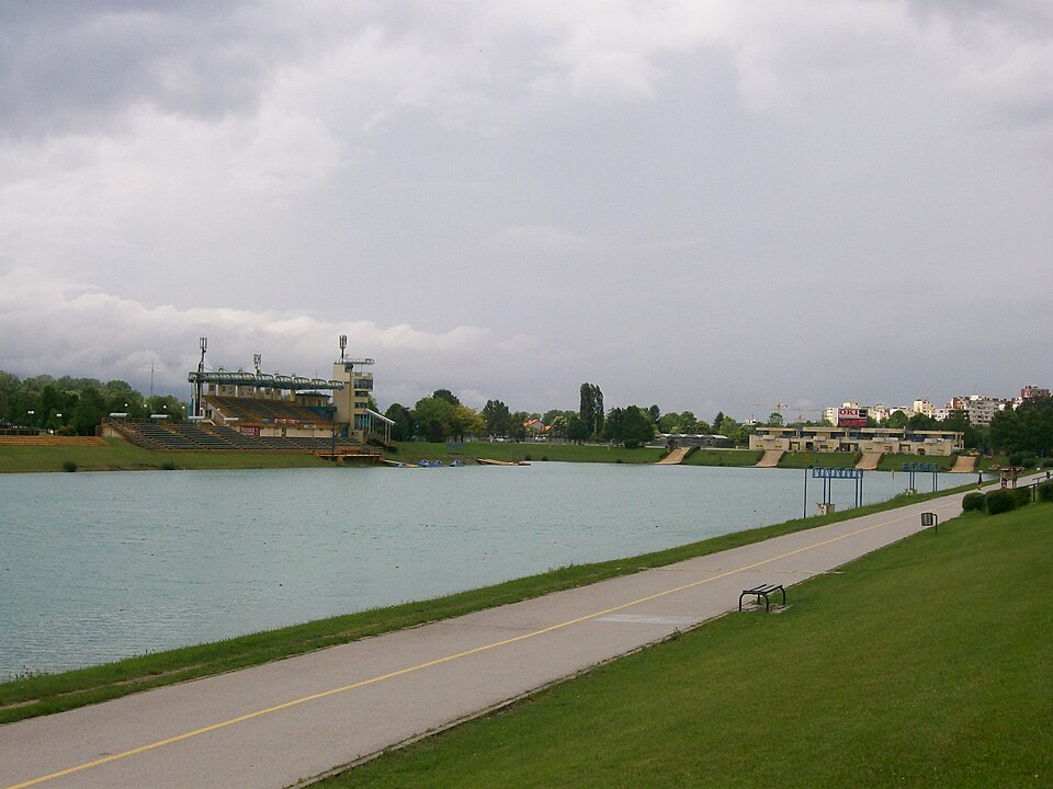 Aleksandar Janić Jana