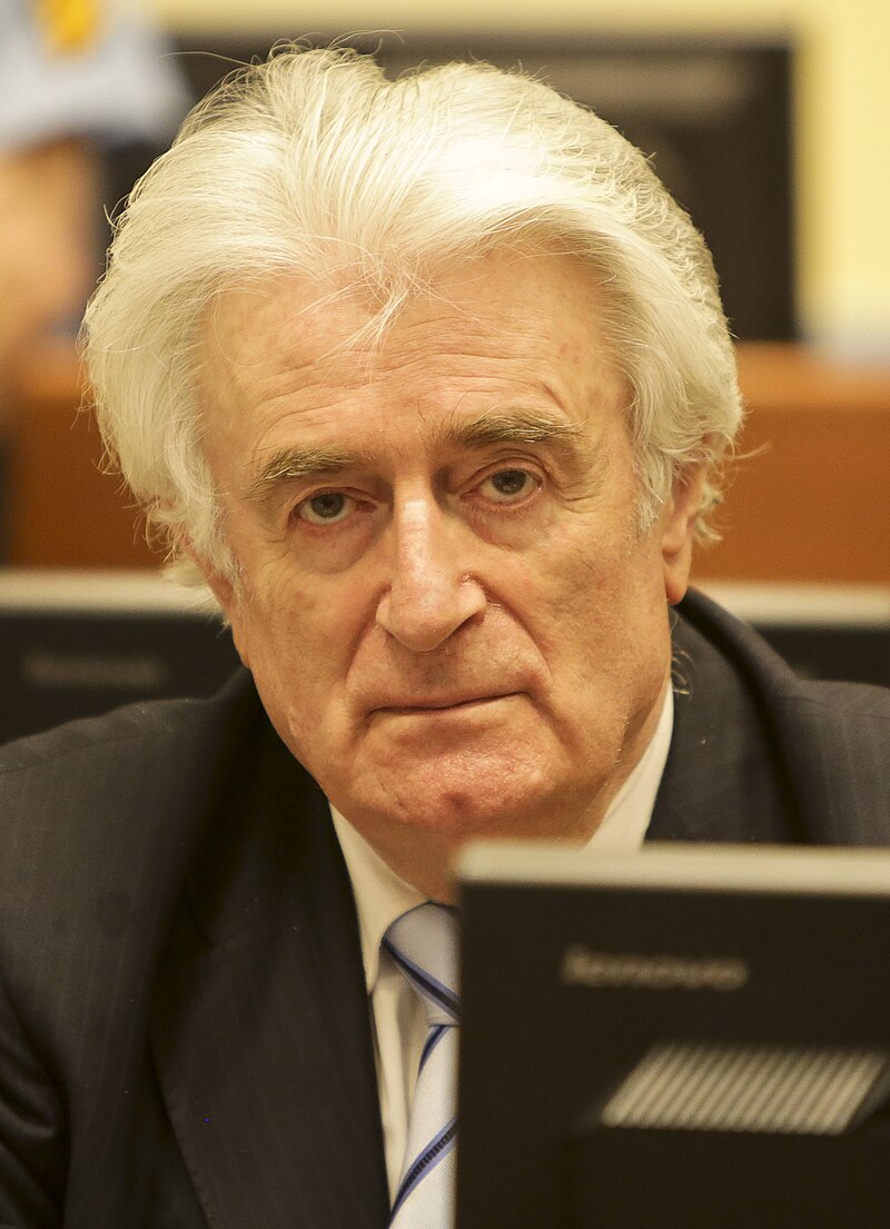 Aleksandar Karadžić