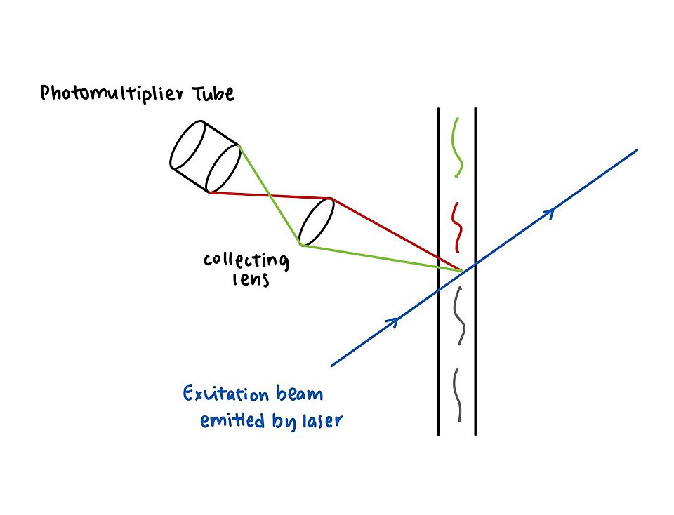 Aleksander Giwercman