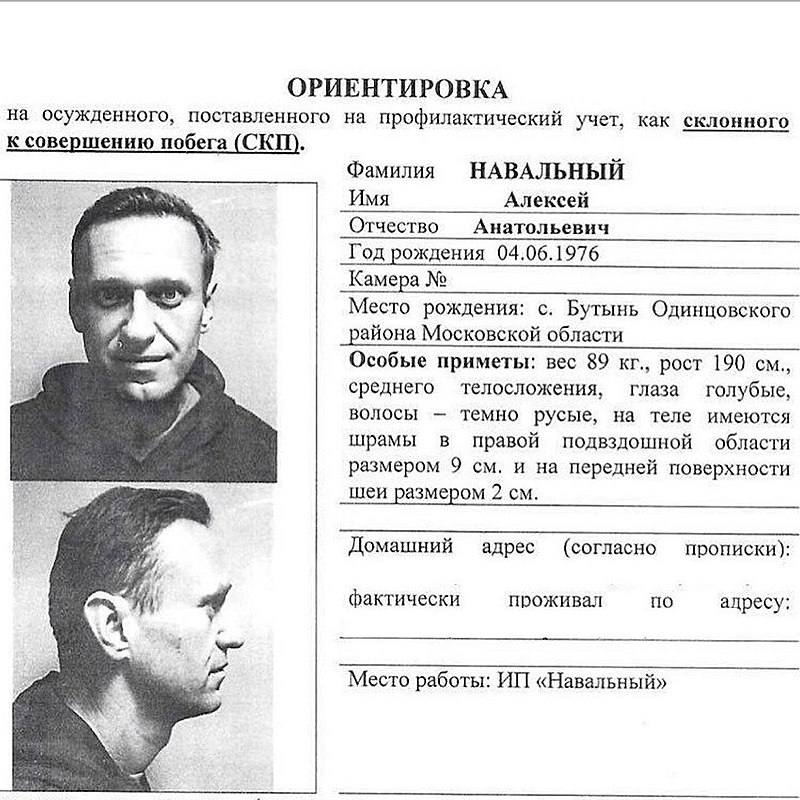 Aleksei Navalnîi