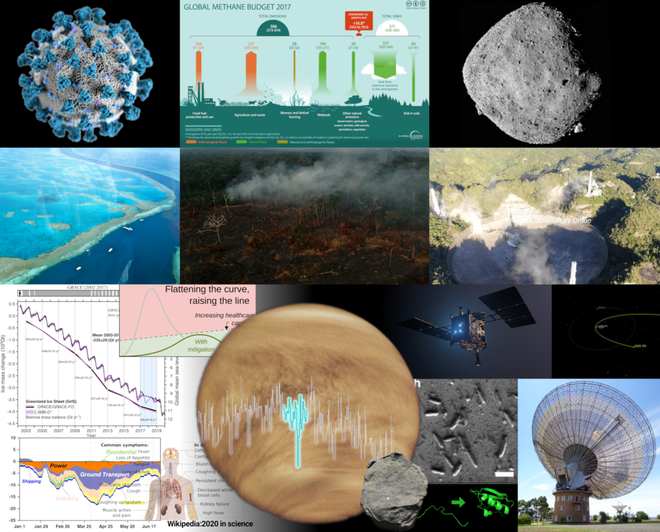 Alessandra Isabella Ardelean