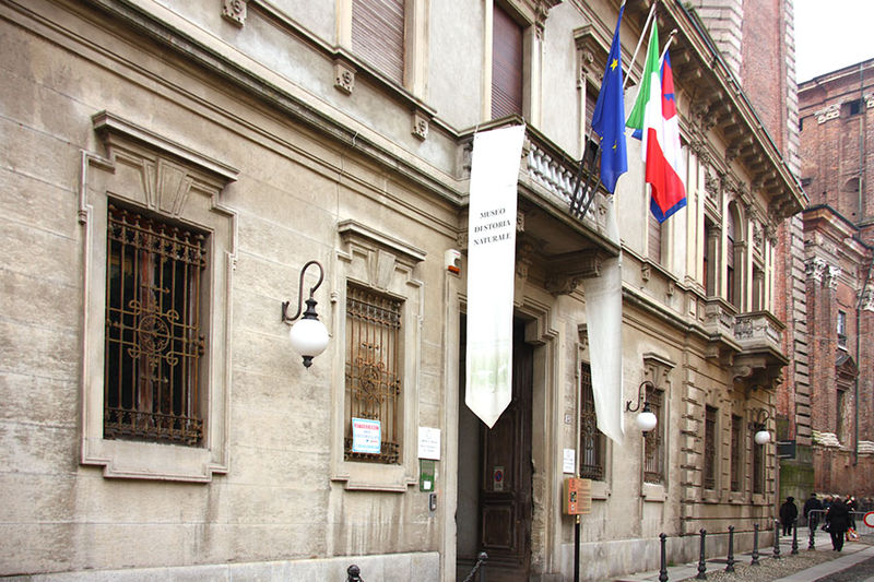 Alessandro Faraggiana