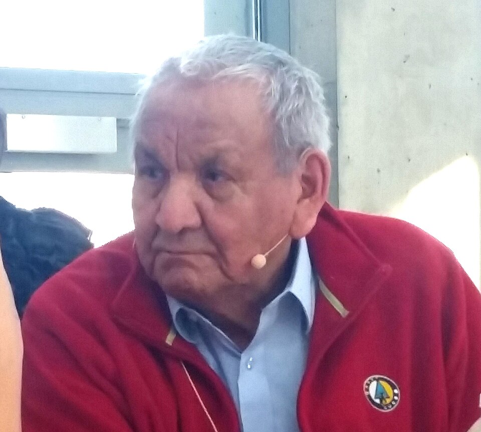 Alex Janvier