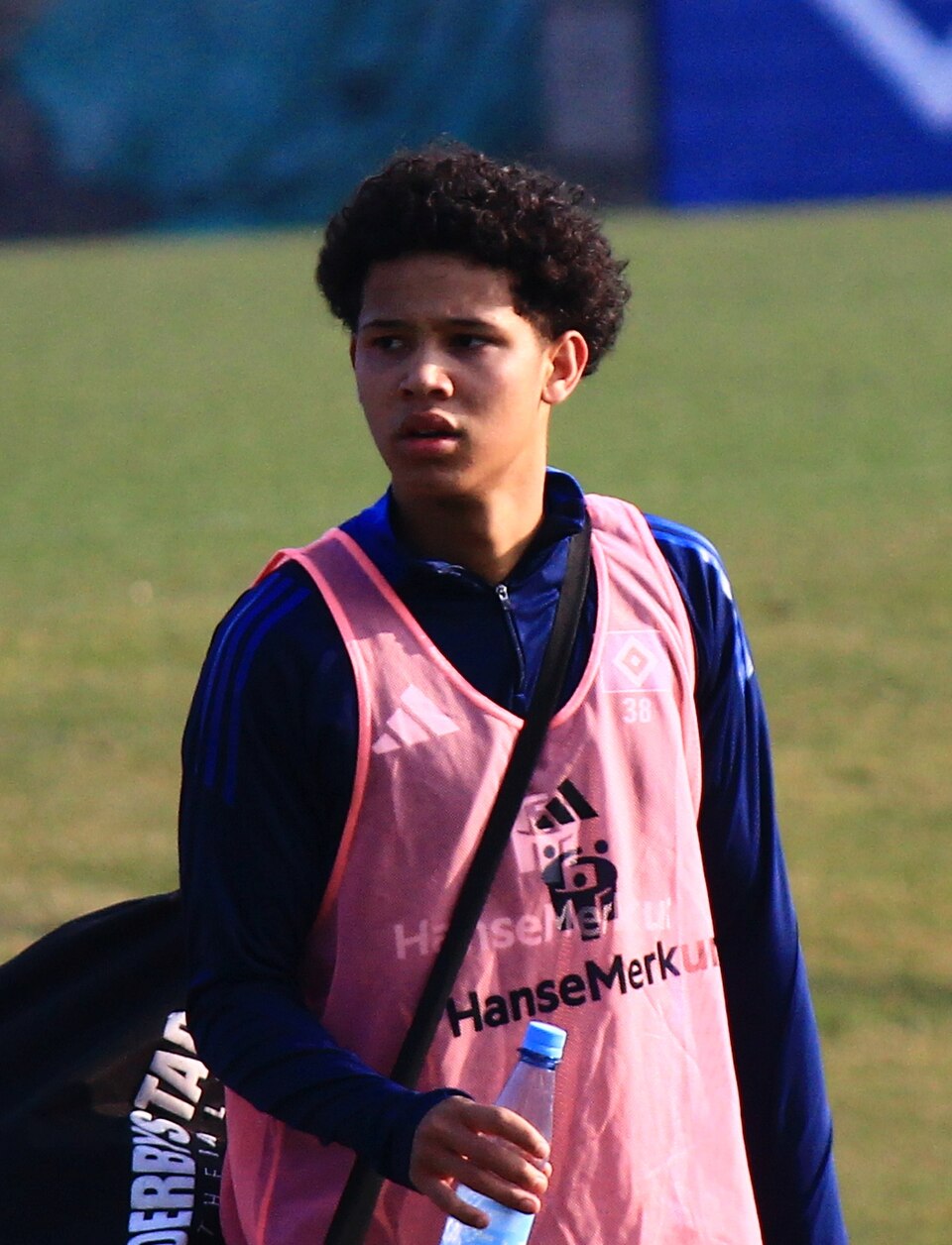 Alexander Rössing-Lelesiit