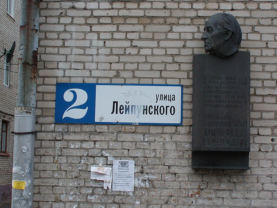 Alexander Timofeev