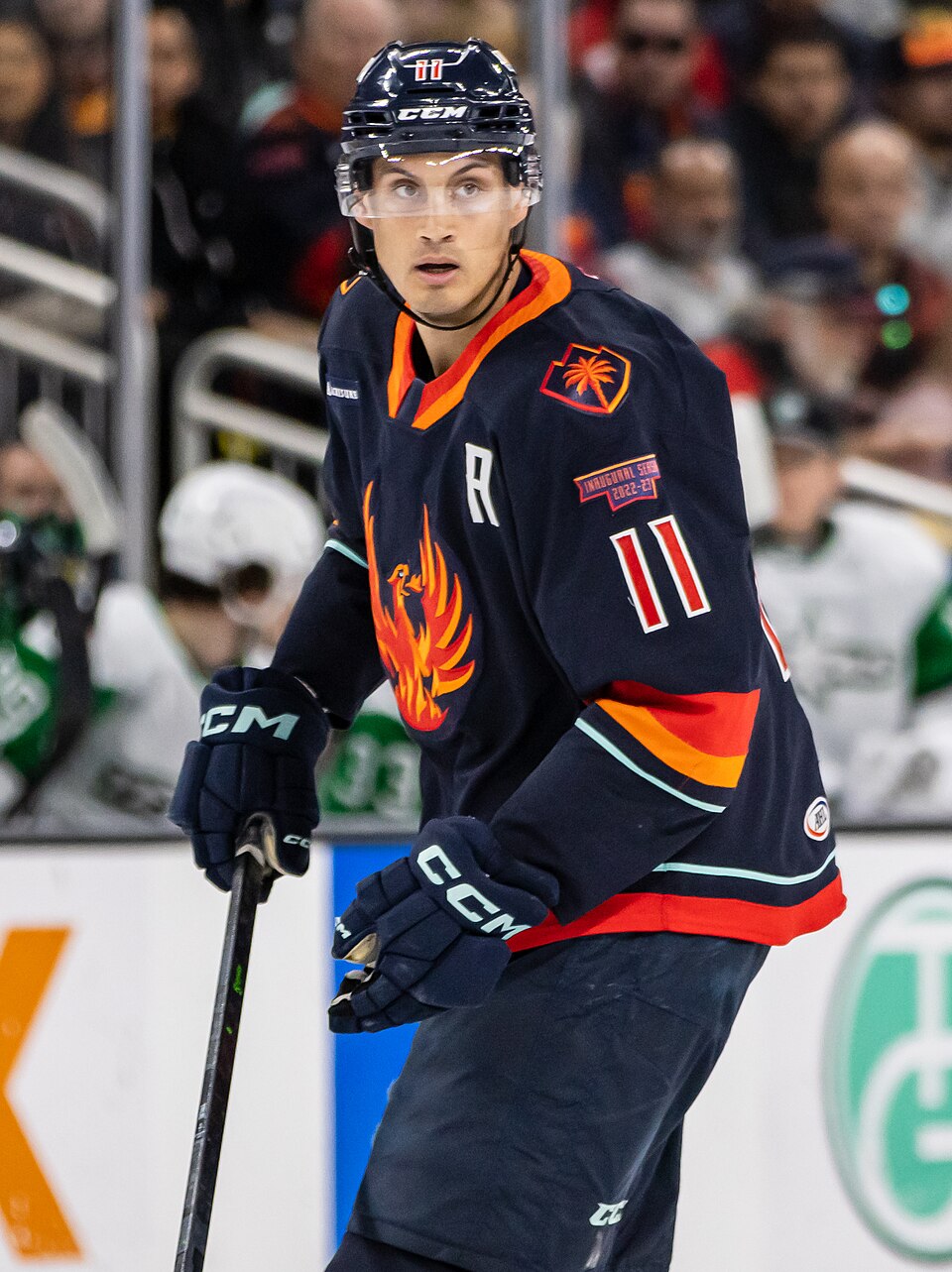 Alexander True