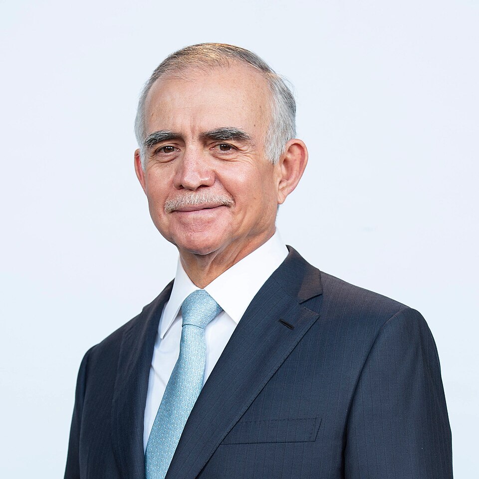 Alfonso Romo Garza