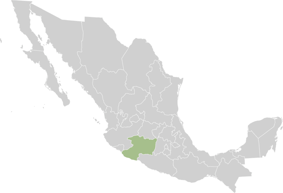 Alfredo Castillo Cervantes