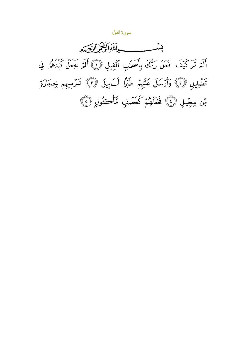 Ali Al-Fil