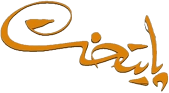 Ali Amin Hasani