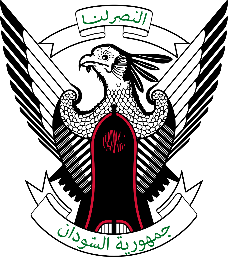 Ali Government
