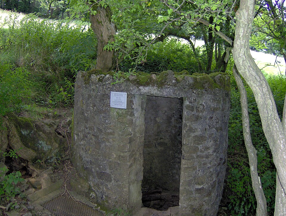 Alison Cave