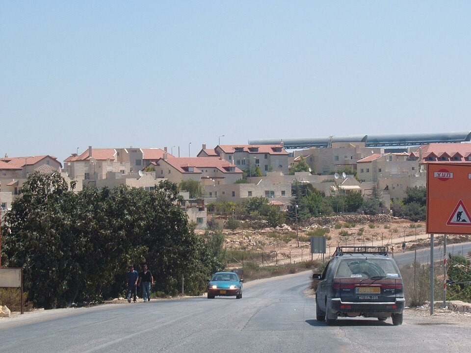 Alon Livneh