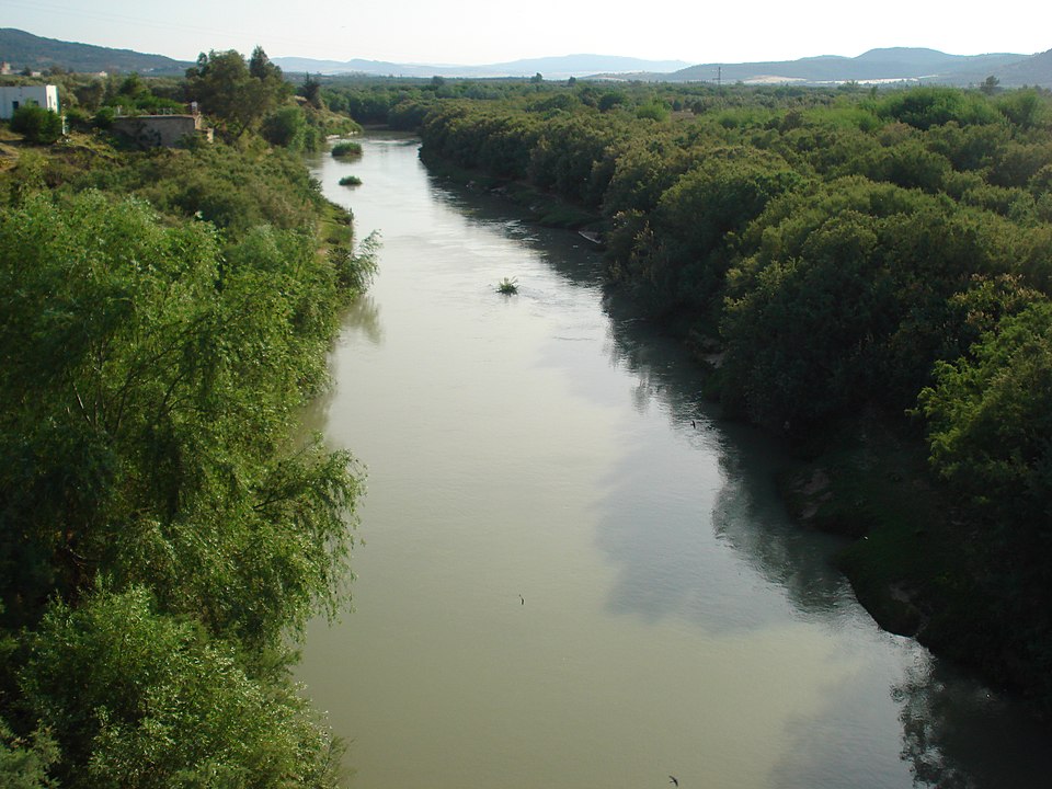 Ameur Oueslati