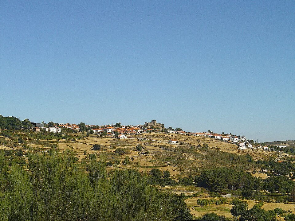 Amilcar Salvador