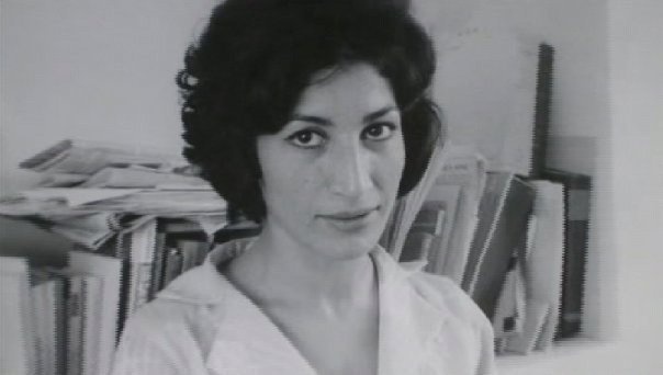 Amin Farzaneh