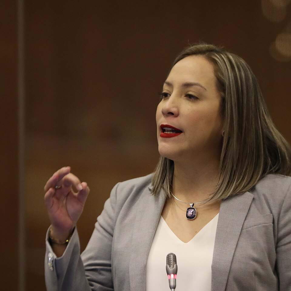 Ana María Raffo