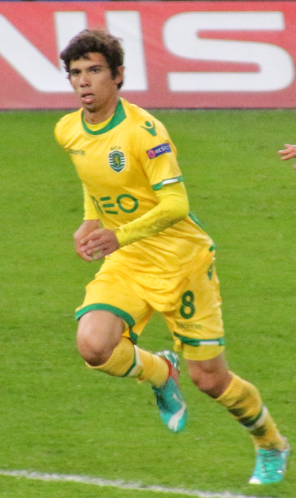 André Perfeito