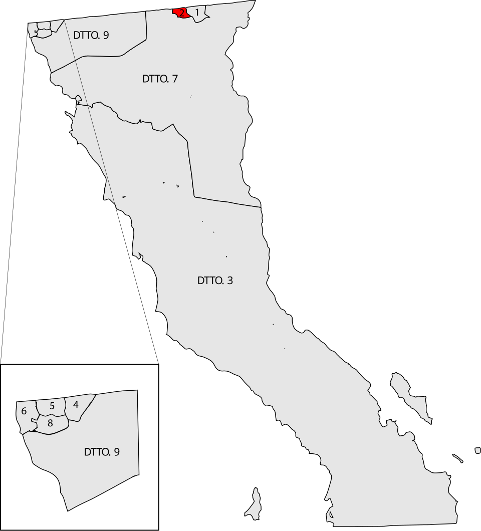 Andrea del Pilar Verdugo