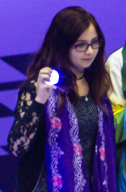 Andrea Navrotescu