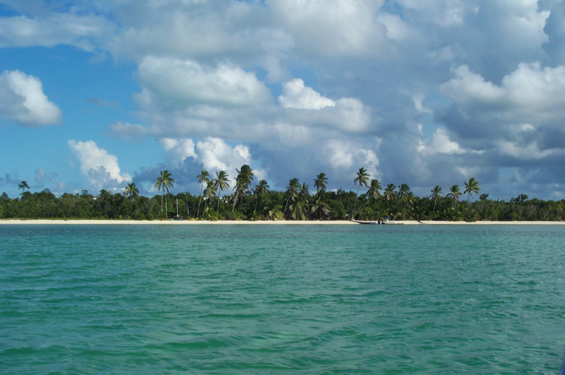 Andros Bowens
