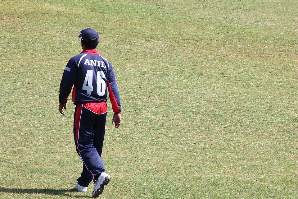 Anil Mandal