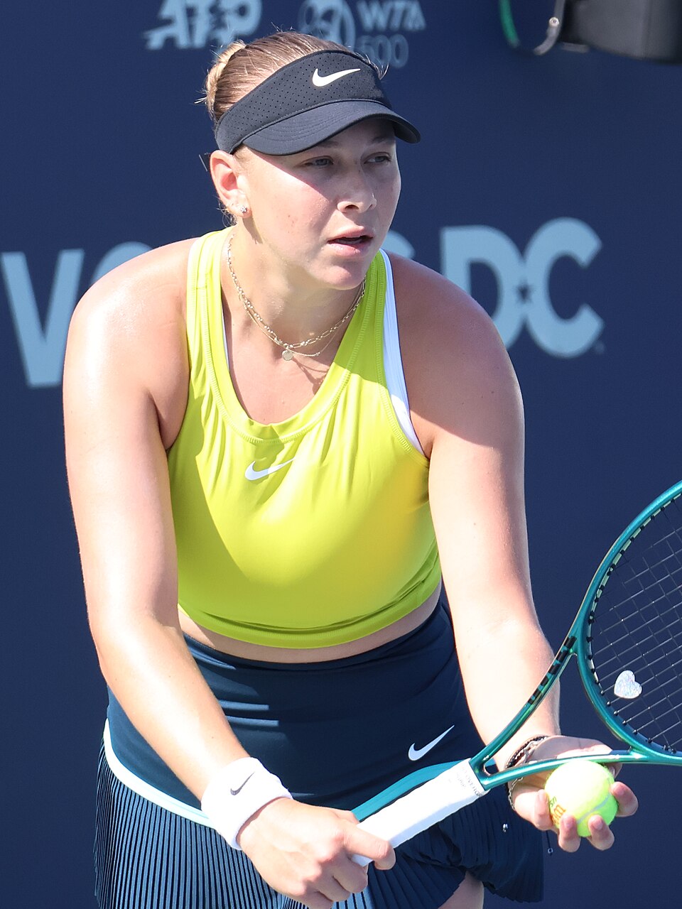 Anisimova