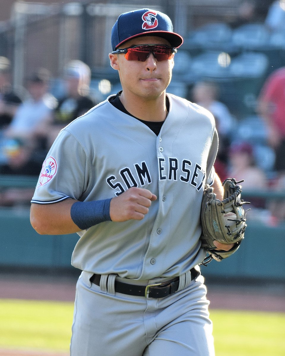Anthony York