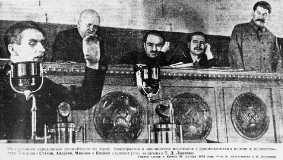 Anton Lysenko