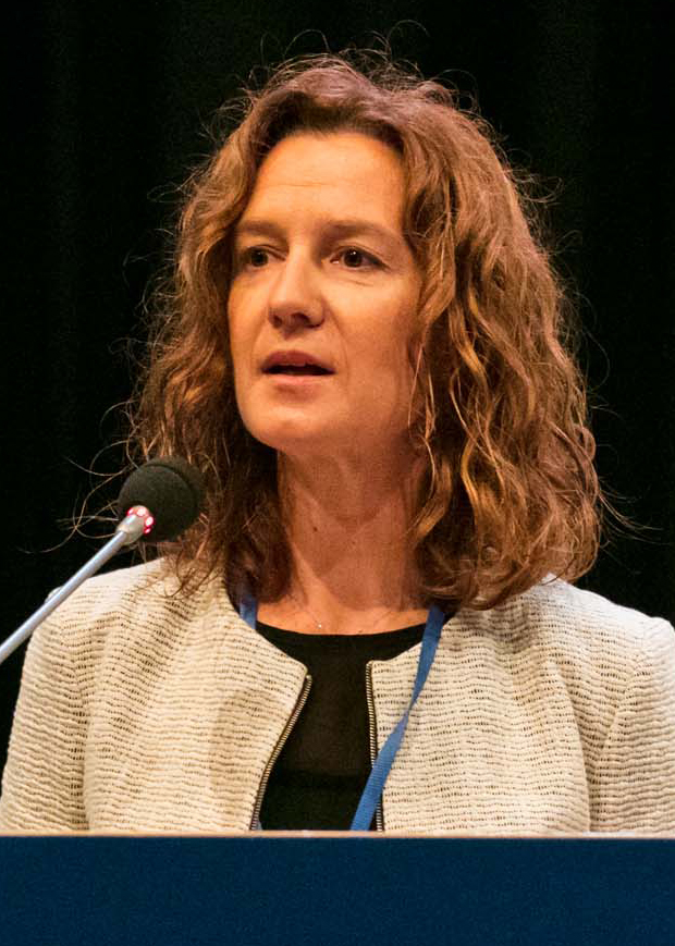 Antoni Calvó Armengol