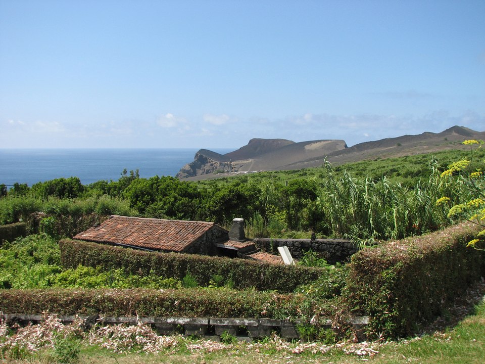António Capelo