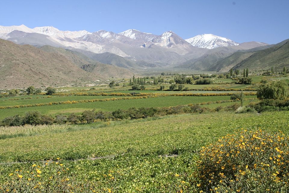 Antonio Marocco