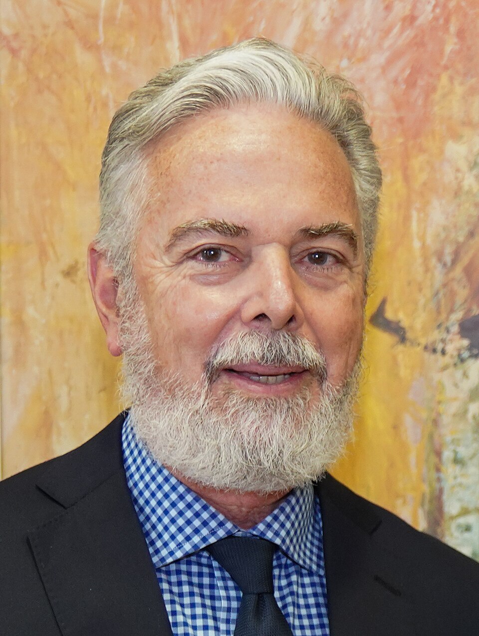 Antonio Patriota